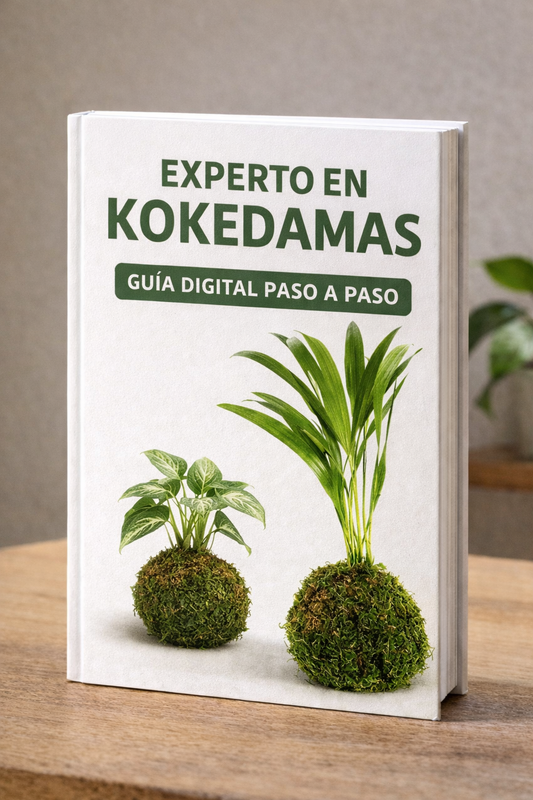 Experto en Kokedamas